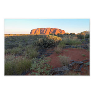 Impression Photo Uluru Sunrise et Flore du désert