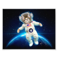 Un astronaute de chat dans l'espace
