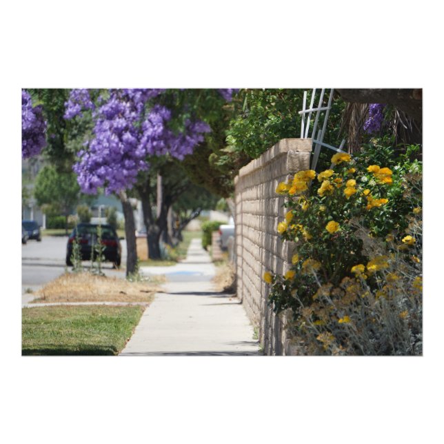 Impression Photo Un chemin (Devant)