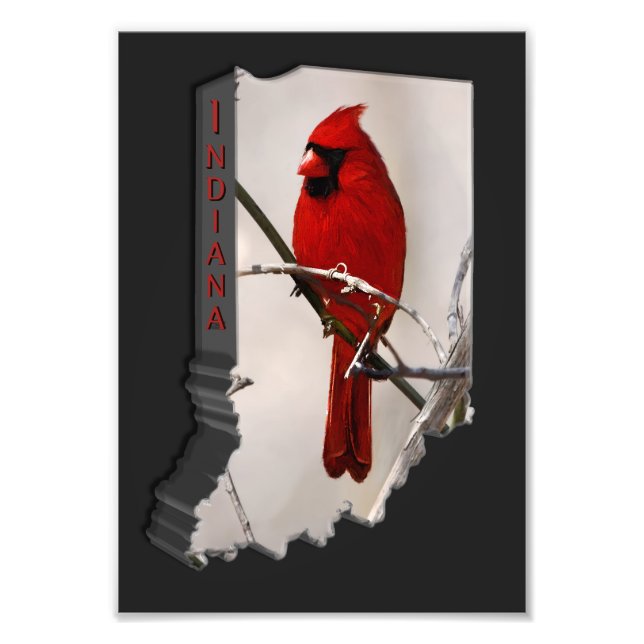 Impression Photo Un oiseau cardinal rouge sur une branche dans les  (Devant)