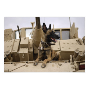 Impression Photo Un ouvrier militaire assis sur un M2A3