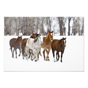 Impression Photo Un paysage hivernal de course