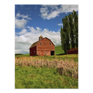 Impression Photo Une balade à travers la campagne de Palouse