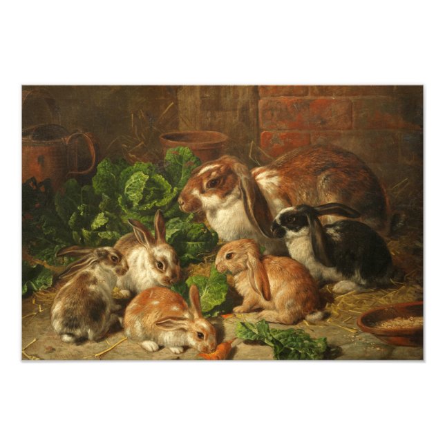 Impression Photo Une famille de lapins par Alfred Richardson Barber (Devant)