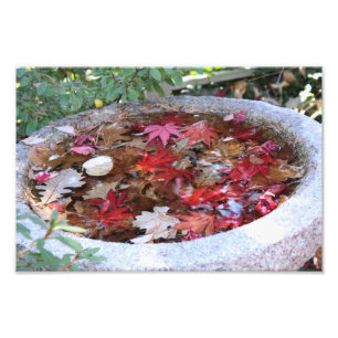 Impression Photo Une portion d'automne