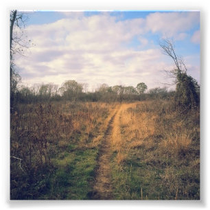 Impression Photo Une route moins a voyagé