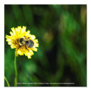 Impression Photo Une tache de jaune