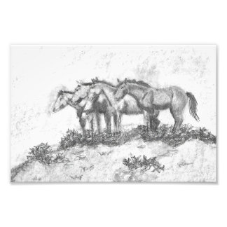 Impression Photo Untamed