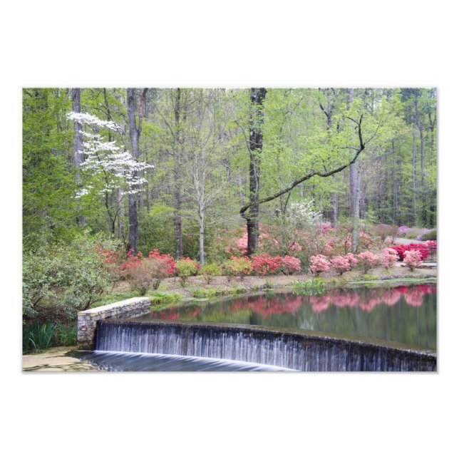 Impression Photo USA, Géorgie, Pine Mountain. Une petite cascade (Devant)