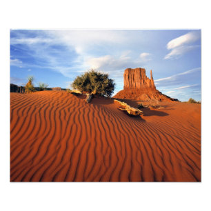 Impression Photo USA, Utah, Monument Valley. Le vent crée