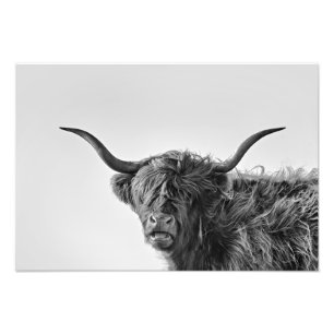 Impression Photo Vache des montagnes vigoureuse dans le monochrome