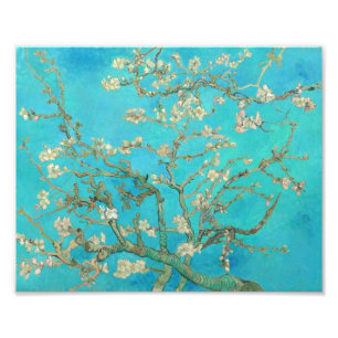 Impression Photo Van Gogh Almond Blossoms