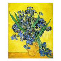 Van Gogh Irises Imprimer