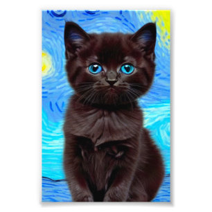 Impression Photo Van Gogh Starry Night Black Cat