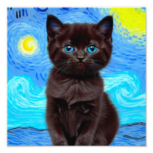 Impression Photo Van Gogh Starry Night Black Cat