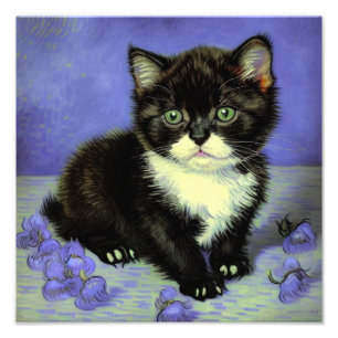 Impression Photo Van Gogh Tuxedo Kitten
