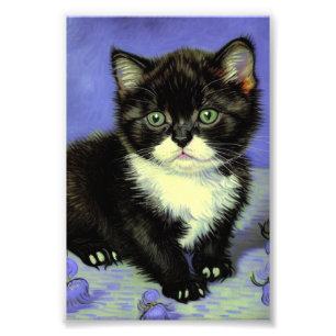 Impression Photo Van Gogh Tuxedo Kitten