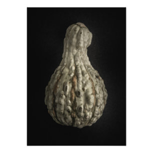 Impression Photo Version couleur Gourds No 8