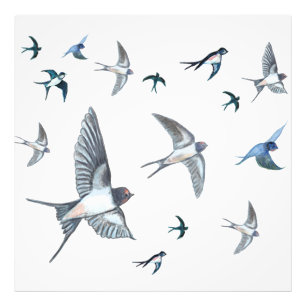 Impression Photo Vestige d'oiseaux d'hirondelles volant Bois