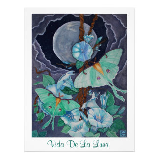 Impression Photo Vida de la Luna