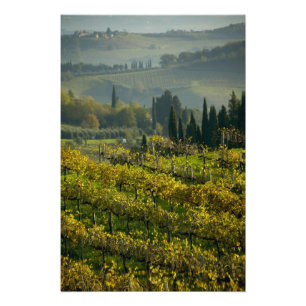 Impression Photo Vignoble, Toscane, Italie