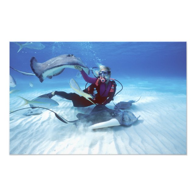 Impression Photo Ville de Stingray, Grand Cayman, îles Caïmans, (Devant)