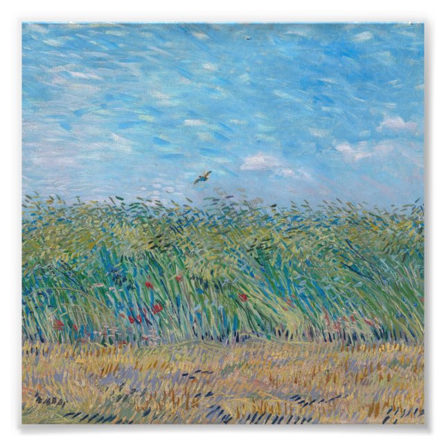 Impression Photo Vincent Van Gogh (Devant)