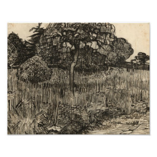 Impression Photo Vincent van Gogh - Arbre à pleurs