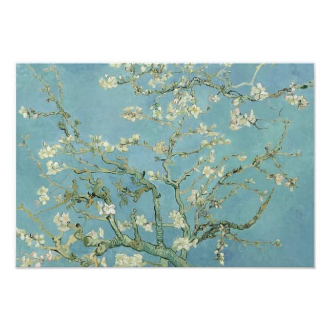 Impression Photo Vincent van Gogh - Fleur d'amandes (Devant)