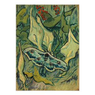 Impression Photo Vincent van Gogh - Giant Peacock Moth