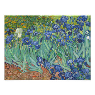 Impression Photo Vincent van Gogh - Irises