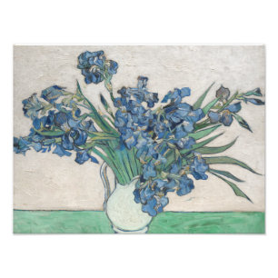 Impression Photo Vincent van Gogh - Irises