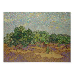 Impression Photo Vincent van Gogh - Olive Trees