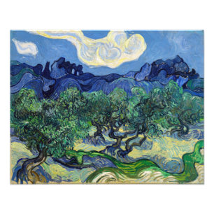 Impression Photo Vincent van Gogh - Oliviers aux Alpilles