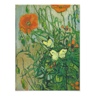 Impression Photo Vincent Van Gogh - Papillons et pavots