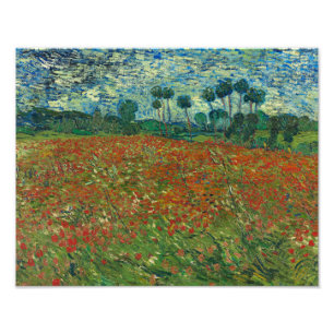 Impression Photo Vincent van Gogh - Poppy Field