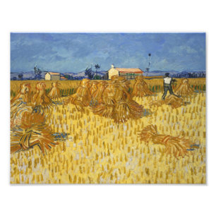 Impression Photo Vincent van Gogh - Récolte de maïs en Provence