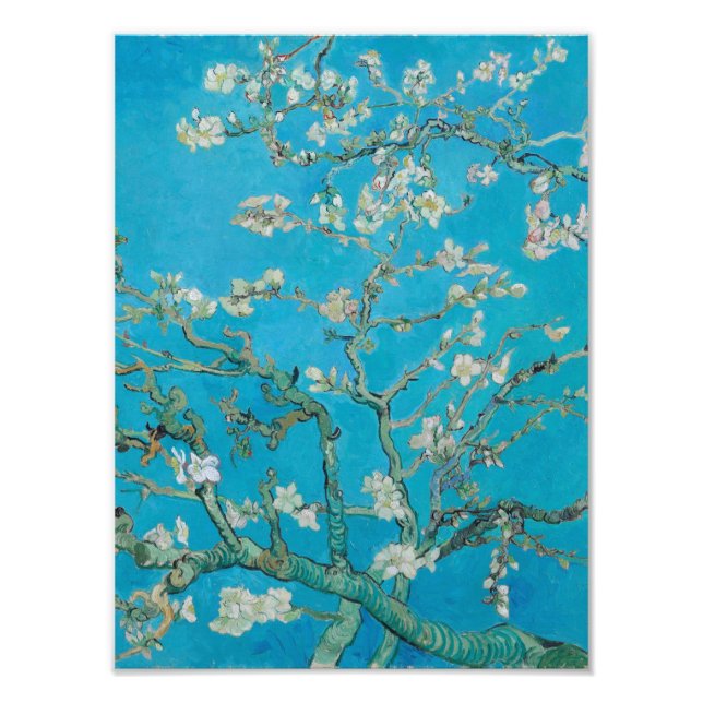 Impression Photo Vincent Van Gogh - Succursales à fleurs d'amandes, (Devant)
