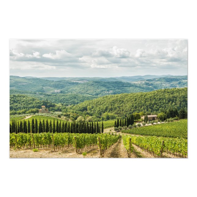 Impression Photo Vineyards landscapes in the morning in Chianti. (Devant)