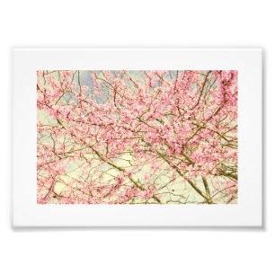 Impression Photo Vintage Printemps fleurs