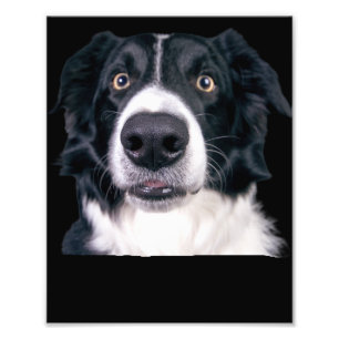 Impression Photo Visage de chien noir et blanc