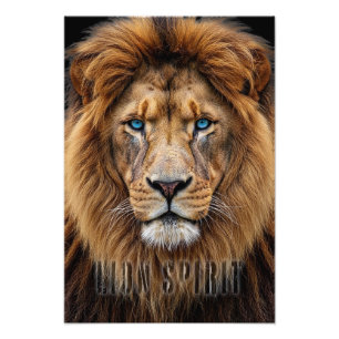 Impression Photo Visage majestueux de lion aux yeux bleus   Faune A