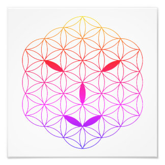 Impression Photo Visage sacré - Arcturien 02, CF-Tr.