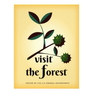 Impression Photo Visitez l'affiche vintage de la forêt USA.
