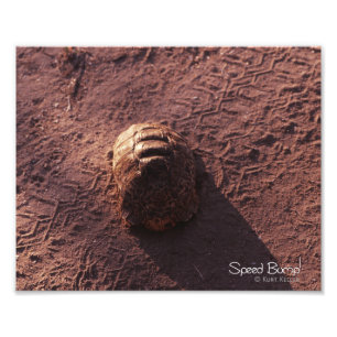 Impression Photo Vitesse