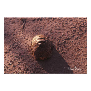 Impression Photo Vitesse