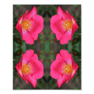 Impression Photo Vivid Pétales rose Abstrait Art Floral 8x10