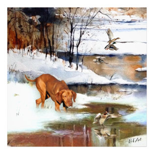 Impression Photo Vizsla hongroise, canards de chasse en hiver