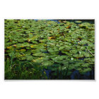 Votre Pad Ou Le Mien