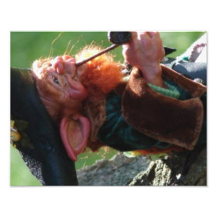 Impression Photo vrai lutin